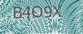 CAPTCHA security code