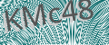 CAPTCHA security code
