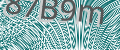 CAPTCHA security code