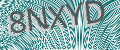 CAPTCHA security code