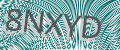 CAPTCHA security code