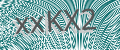 CAPTCHA security code